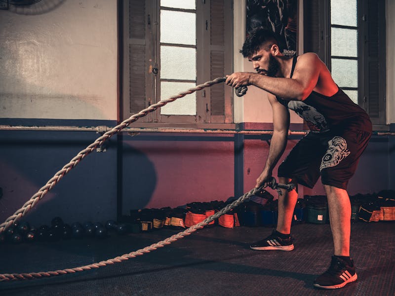 Modern gym equipment arranged in rows